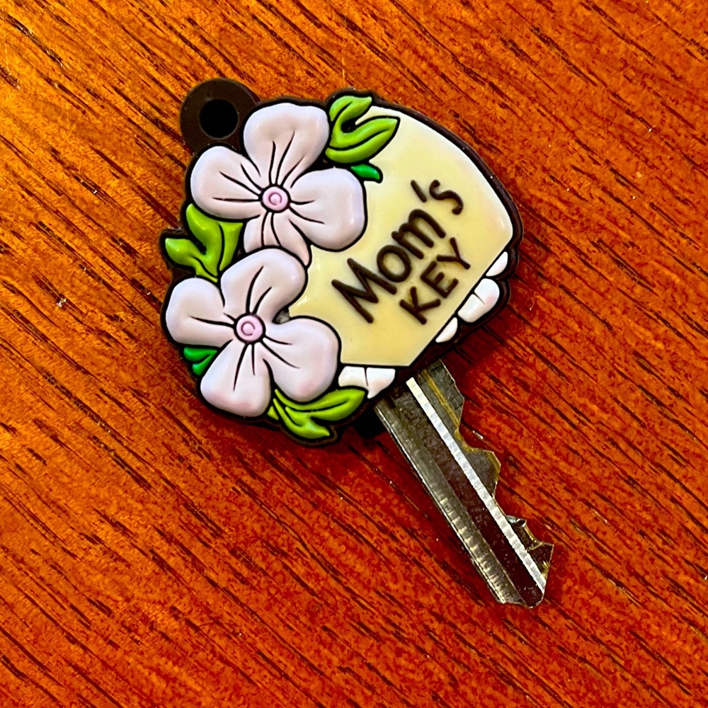 Mom’s Keys Silicone key cover